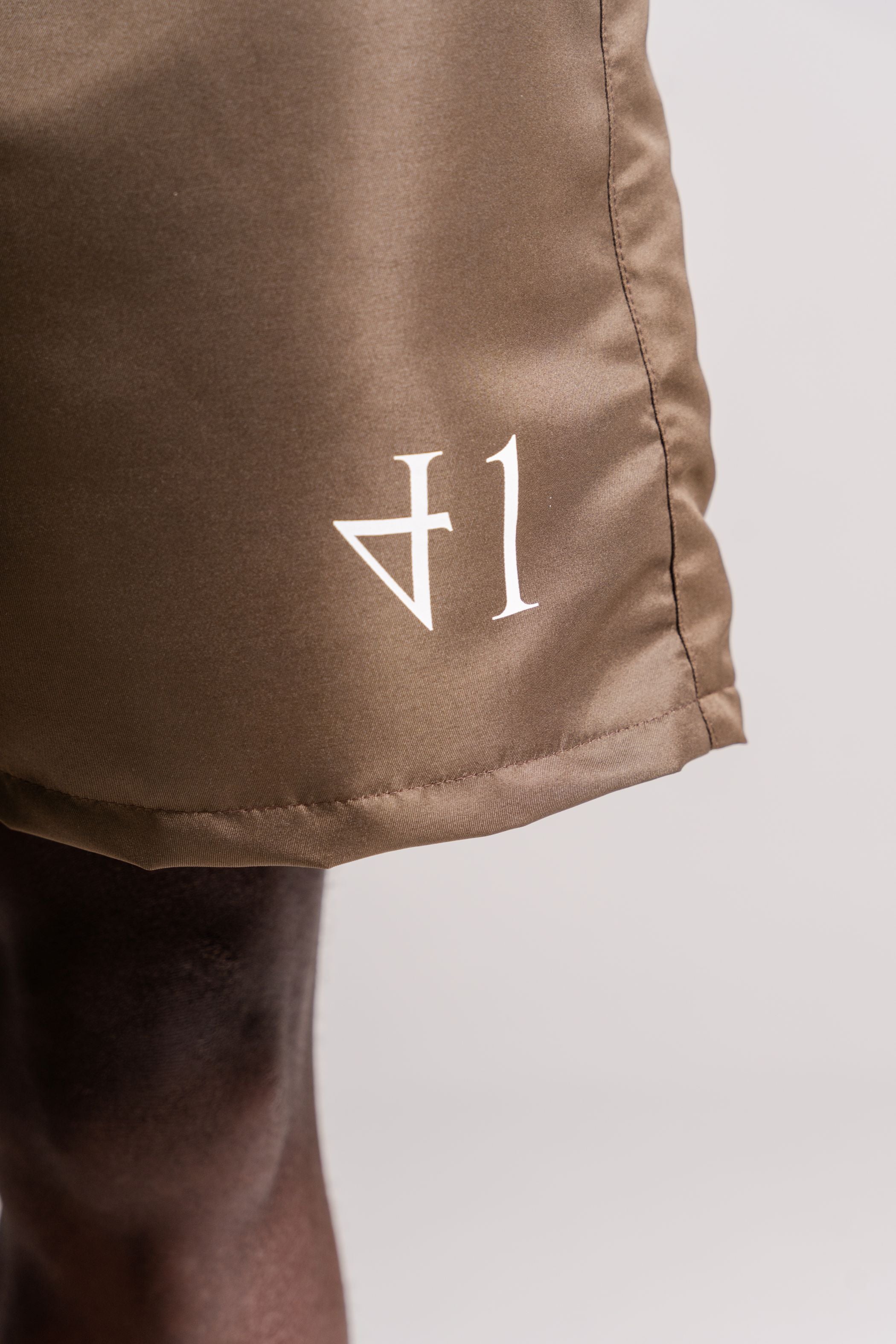 Logo Brown Basic Shorts